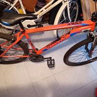 biciclette uomo e donna 