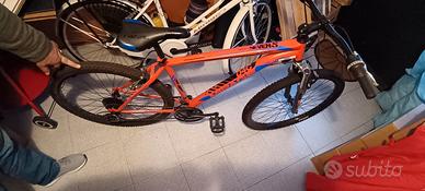 biciclette uomo e donna 