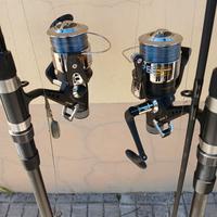 Canna mare e carpfischinig