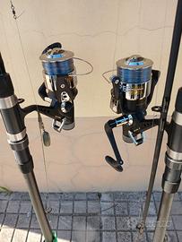 Canna mare e carpfischinig