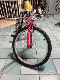 Bicicletta