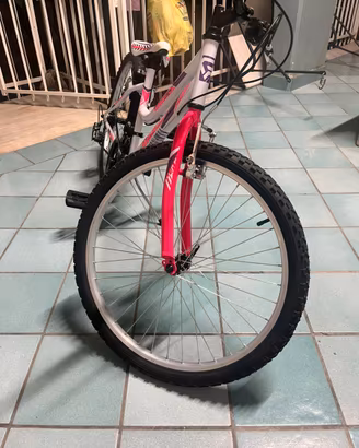 Bicicletta