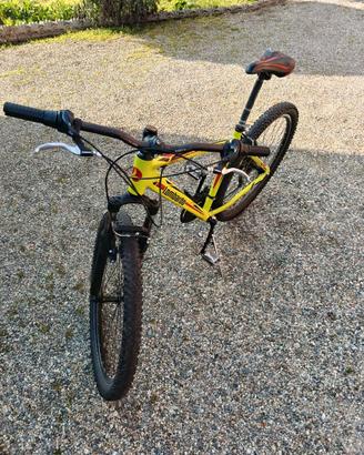 Bicicletta
