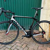 Olympia EGO RS full carbon