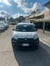 fiat-panda-1-3-mjt-80-cv-s-s-lounge