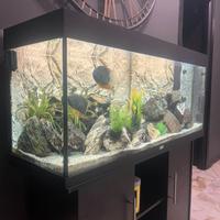 Acquario Juvel Rio 240