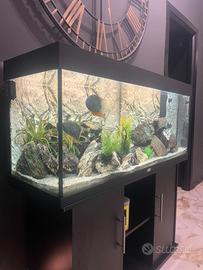 Acquario Juvel Rio 240