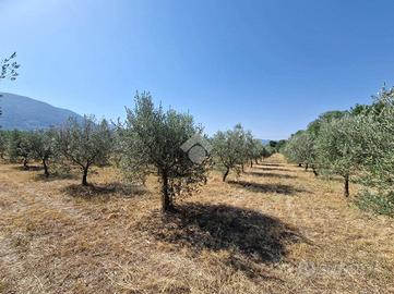 TER. AGRICOLO A SPOLETO