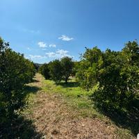 Terreno agricolo a Tortolì