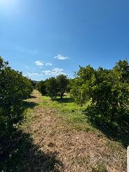 Terreno agricolo a Tortolì