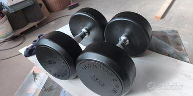 manubrio 25 kg 