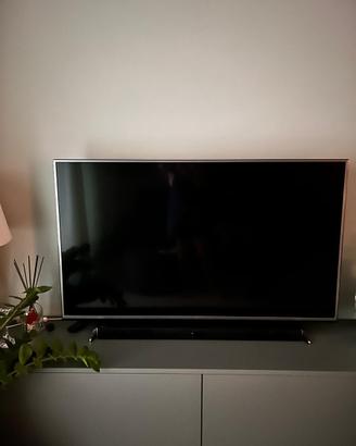 Tv LG LED 55 pollici