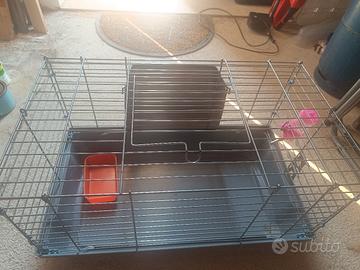 gabbietta per coniglio nano