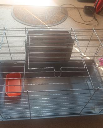 gabbietta per coniglio nano
