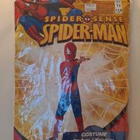 costume  in maschera carnevale , uomo ragno