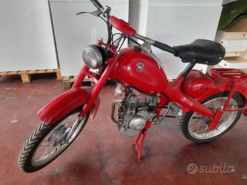 Motom 48/C (1962)