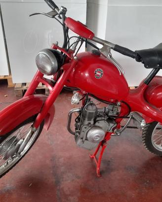 Motom 48/C (1962)