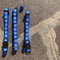 Collarini per gatti o per cani di piccola taglia