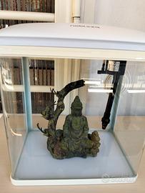 acquario per pesci 🐟