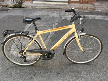 Bicicletta Regina Trekking 955