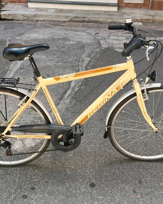 Bicicletta Regina Trekking 955