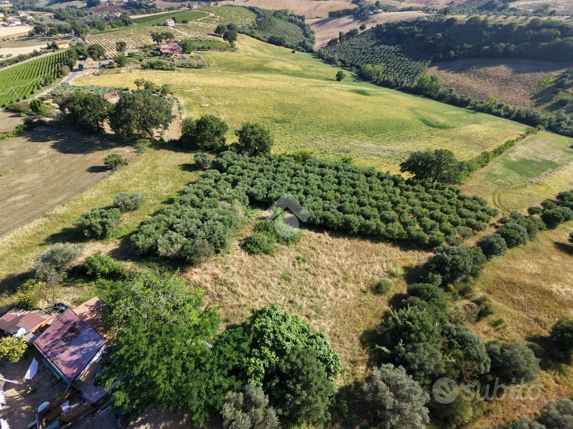 TERRENO A ROSETO DEGLI ABRUZZI - Vista 3