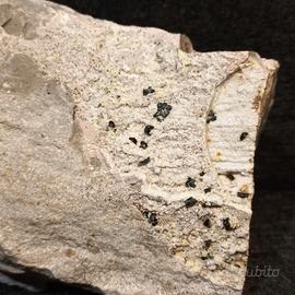 Osumilite Sardegna 