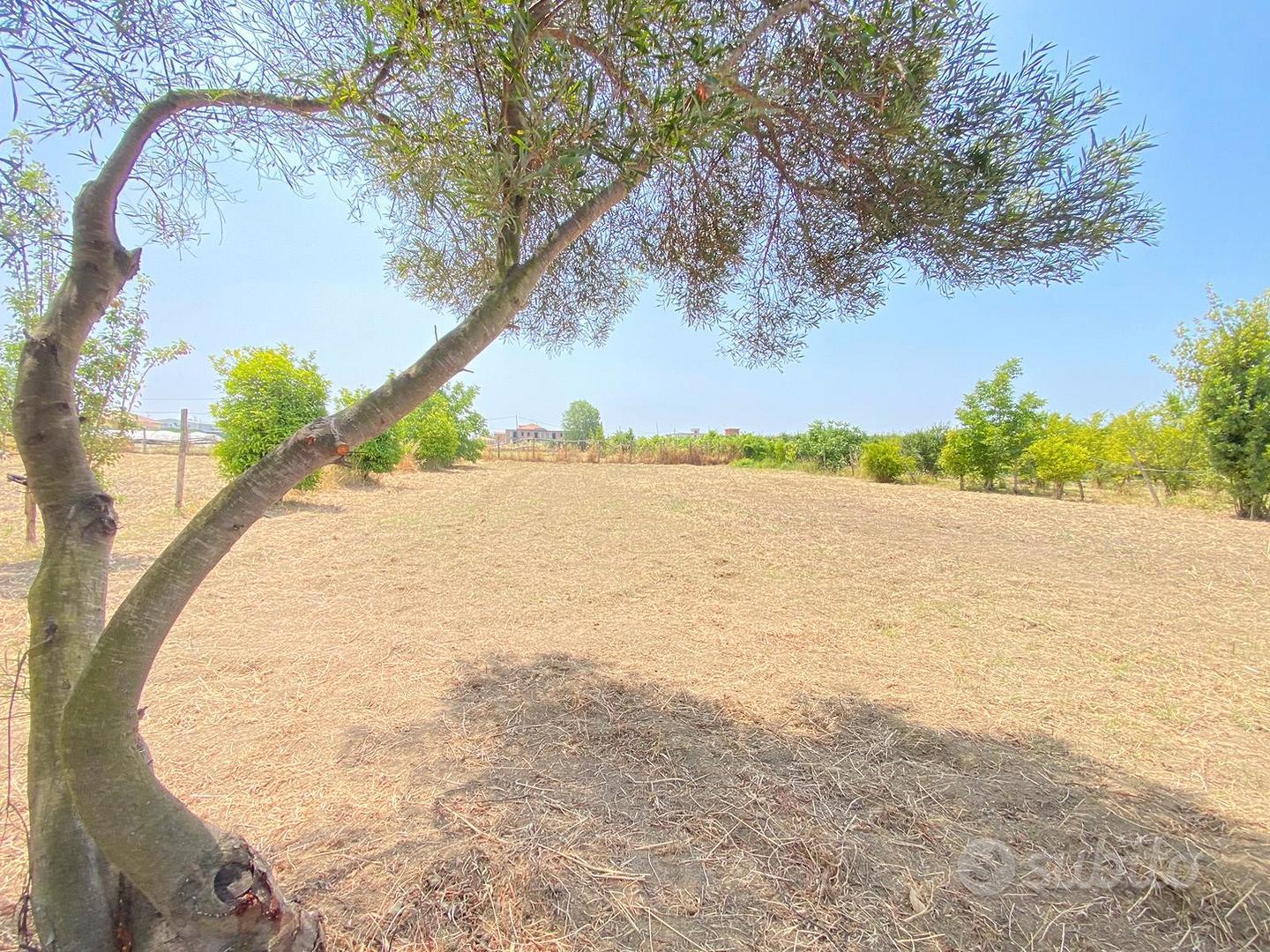 3Terreni Agricoli Via Arco Sant'Antonio FL288 - Vista 4