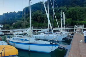 Splendido dehler d 25