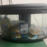 Acquario