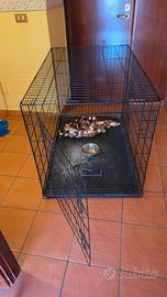 Cuccia x cane