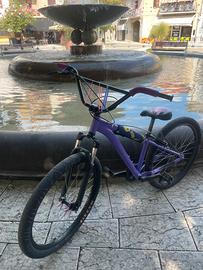 wheelie bike