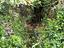 Immagine 16