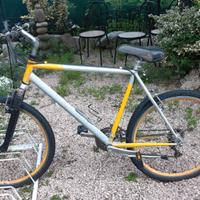 MTB  doppio cambio, ammortizzata, ruote  26 Allum.