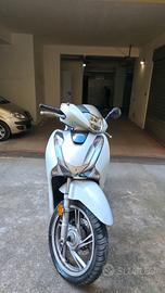 Honda Sh 125 2019