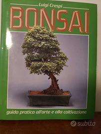 Libro bonsai