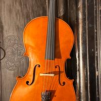 Violoncello 1/2