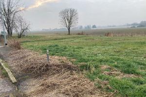 RGE 310/2024 Tribunale Verona