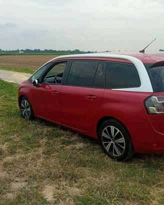 splendida suv c4 grande picasso 2017