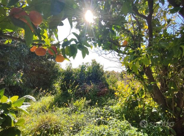 Terreno agricolo di 1.000 mq. circa Mascalucia Zon