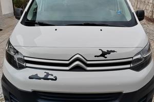 autocarro privato 