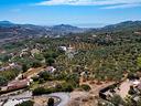 ter-agricolo-a-imperia