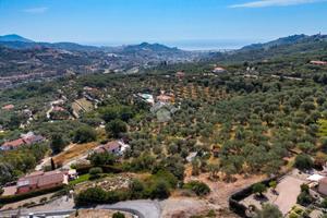 TER. AGRICOLO A IMPERIA