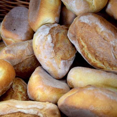 PANIFICIO GASTRONOMIA CON LABORATORIO