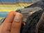 Immagine 6
