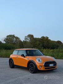Mini 1.5 One D
