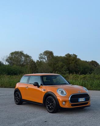 Mini 1.5 One D