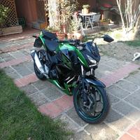 kawasaki Z 300