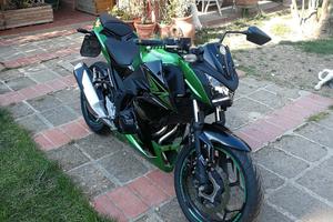 kawasaki Z 300