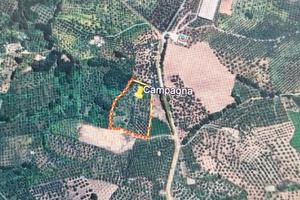 Terreno agricolo